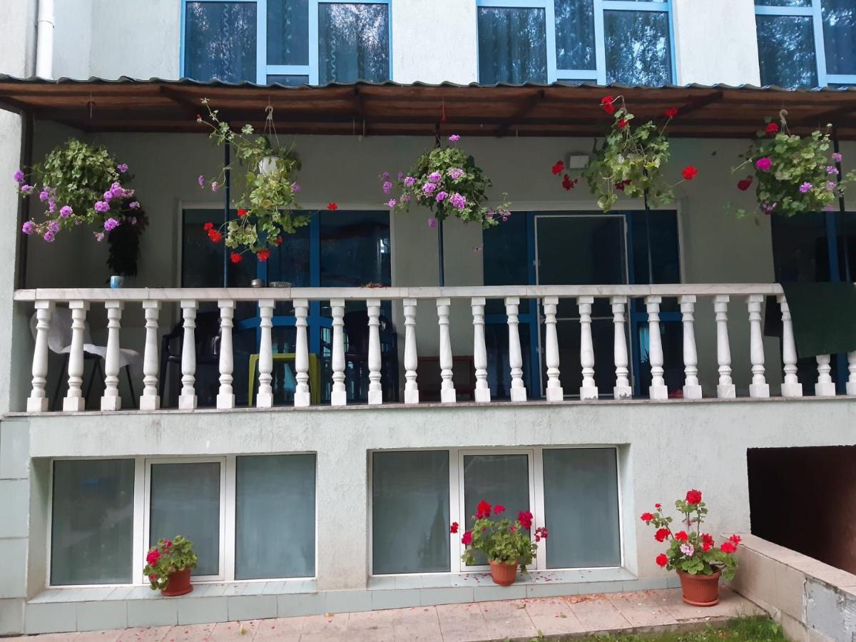Casa Albastra Hotel Drumu Carului Exterior foto