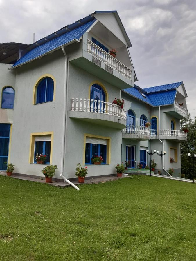 Casa Albastra Hotel Drumu Carului Exterior foto