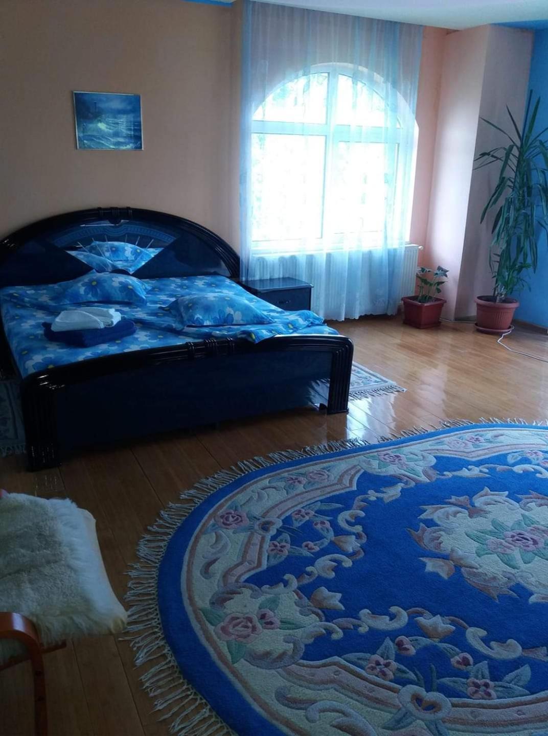 Casa Albastra Hotel Drumu Carului Cameră foto